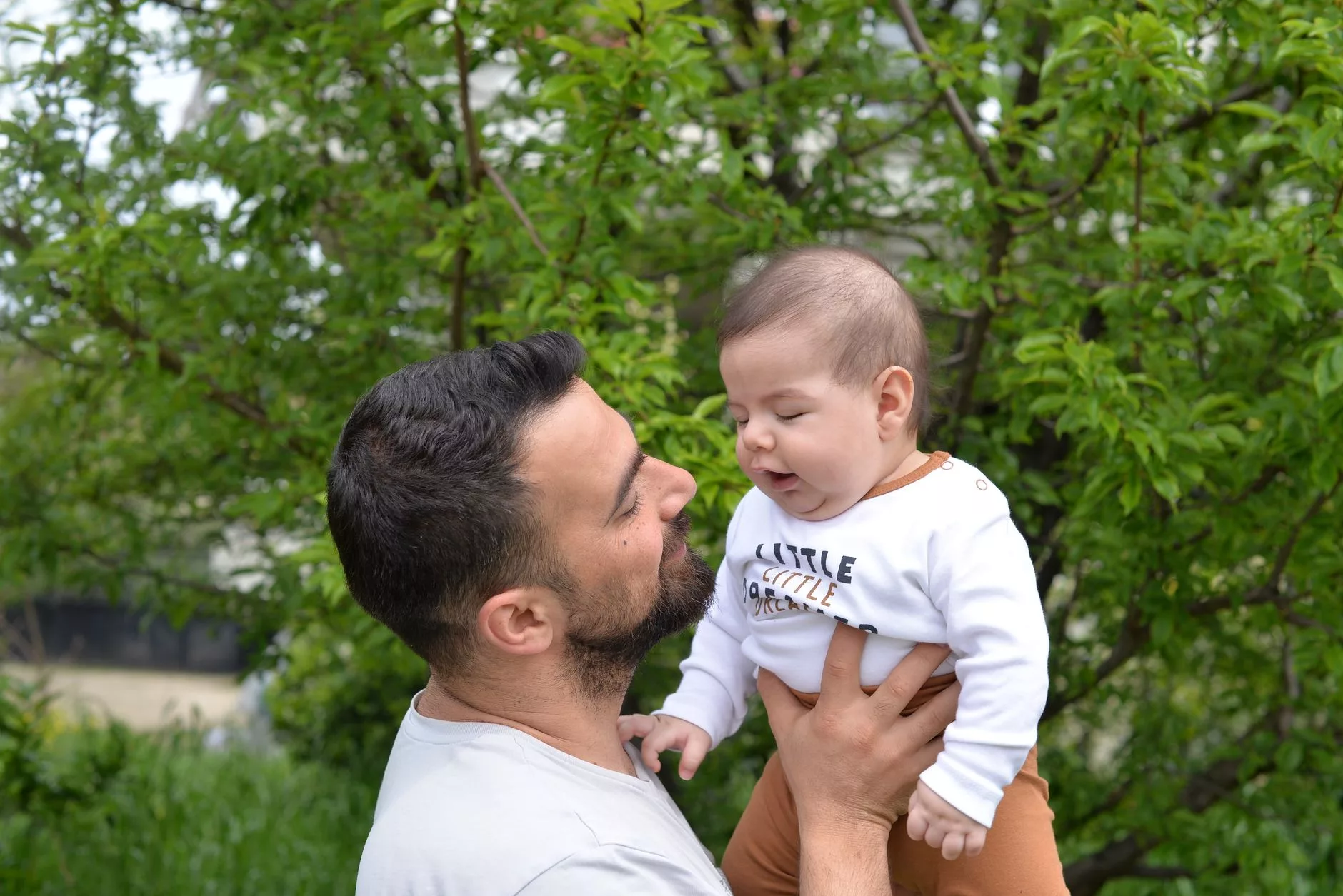 sahne