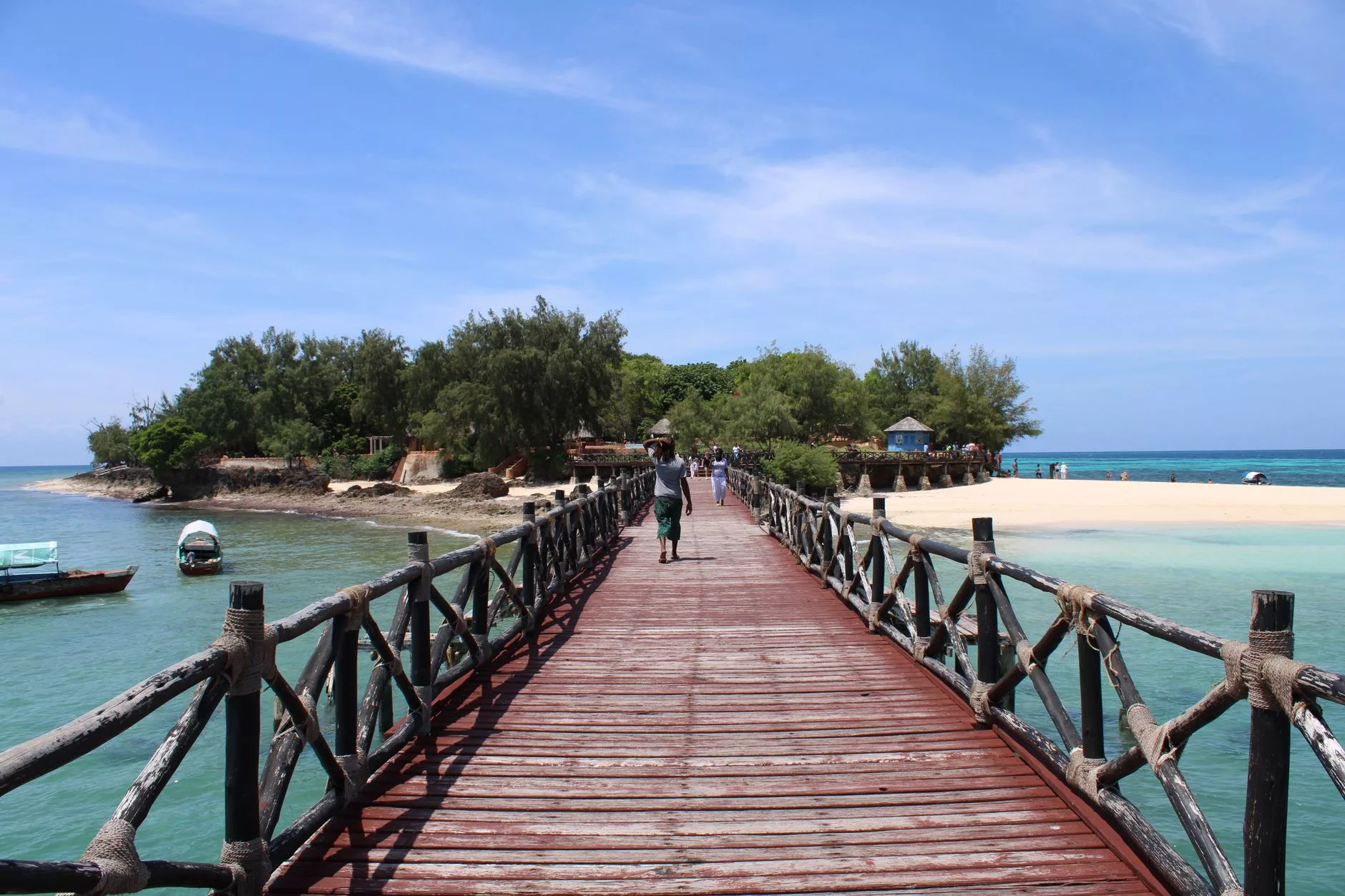 Zanzibar Jozani Chwaka Bay Milli Parkı