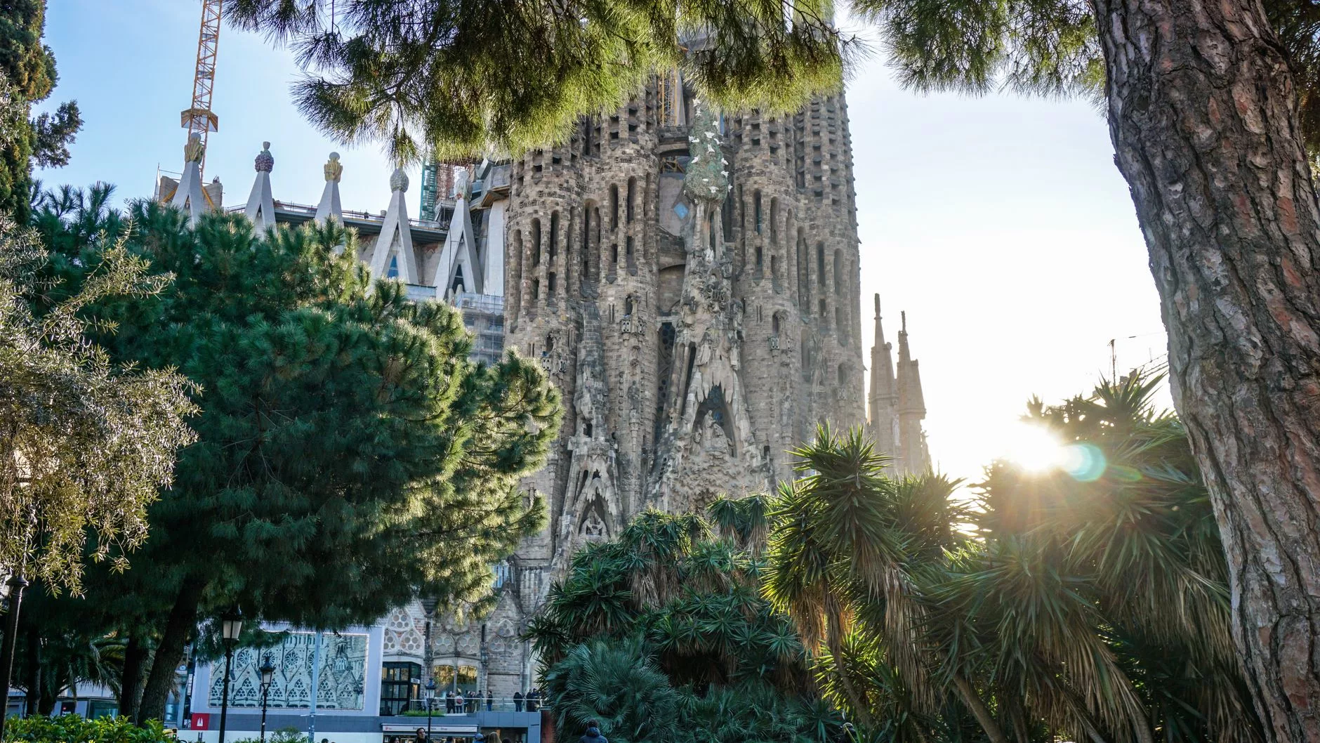 Barselona Sagrada Familia bazilikasının güneşli görüntüsü