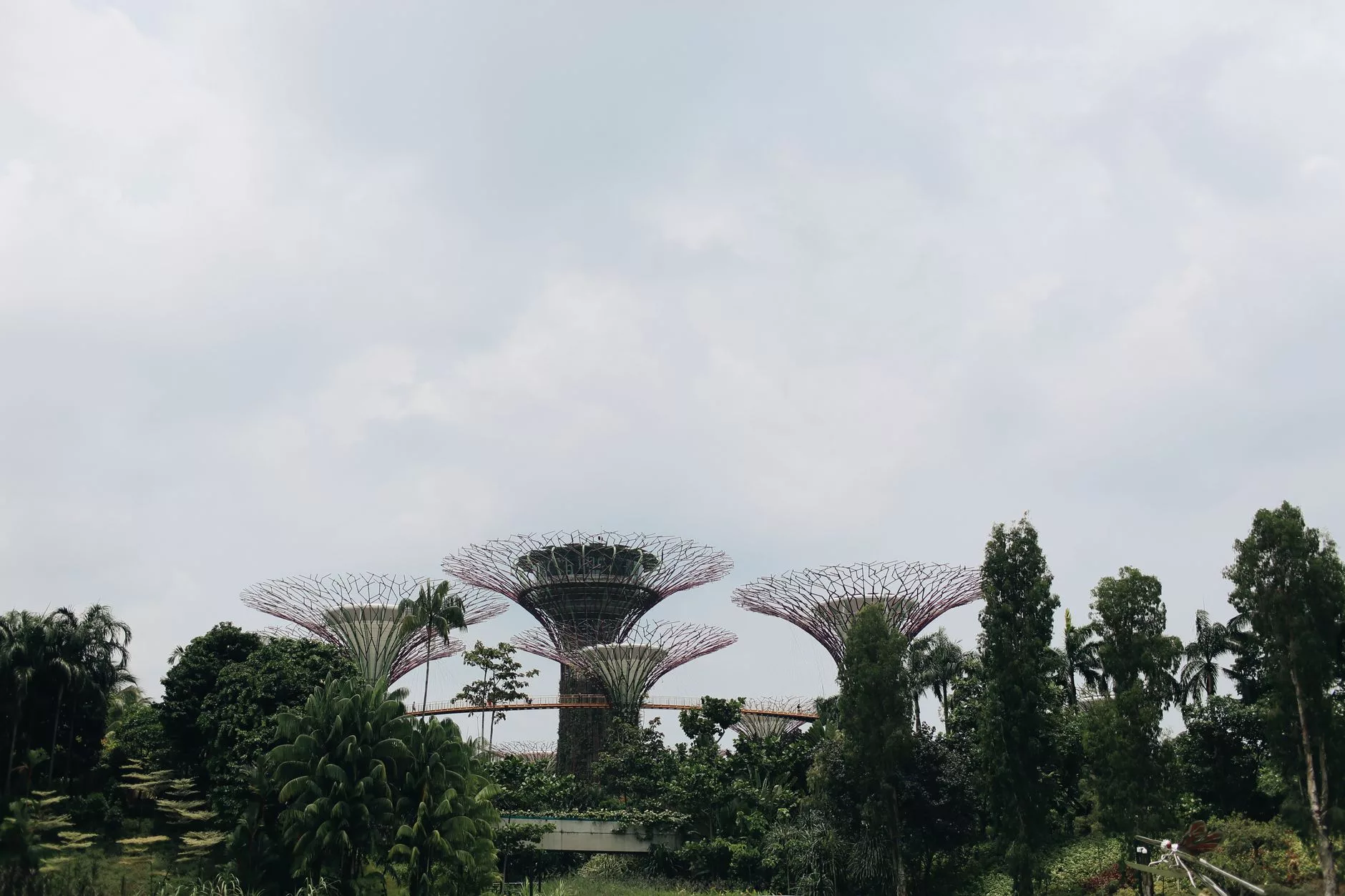 Gardens by the Bay Supertree Grove