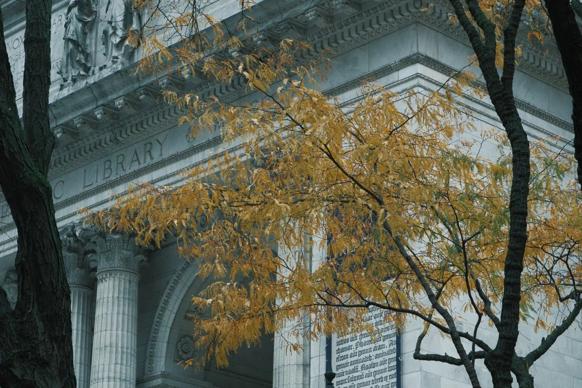 New York New York Public Library