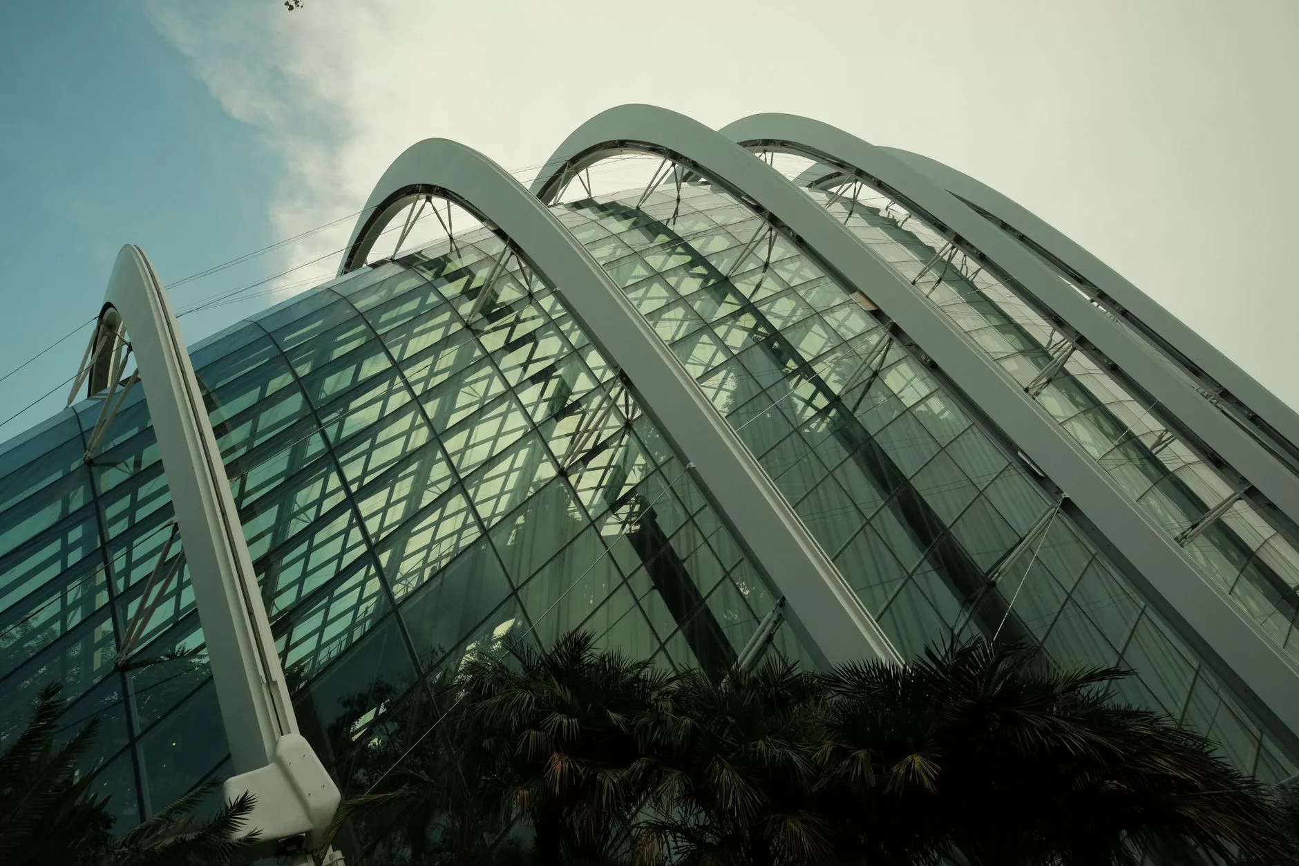 Vancouver Bloedel Conservatory