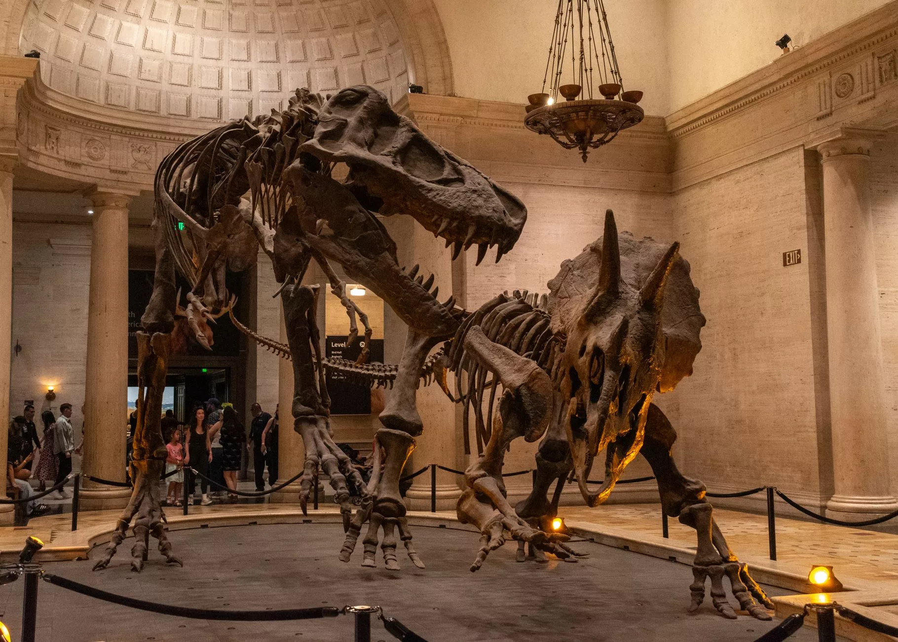 Los Angeles Natural History Museum dinozor salonu