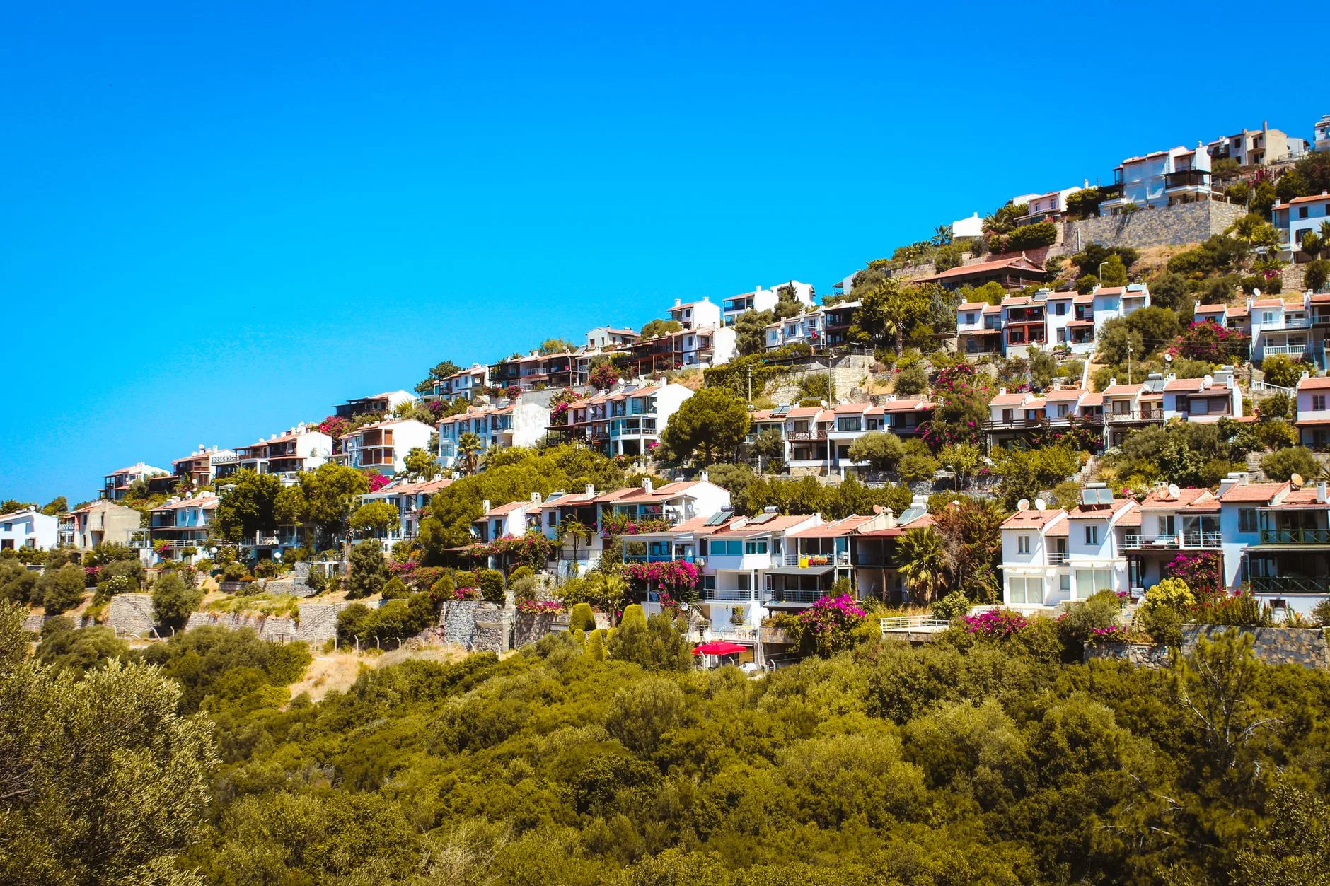 Bodrum'un simgesi haline gelen begonvillerle süslü bembeyaz duvarlı evler