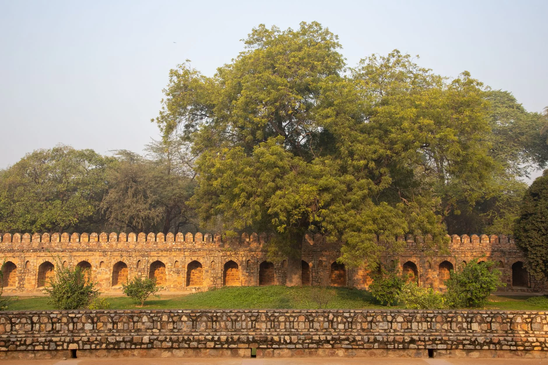 Delhi Lodhi Bahçeleri