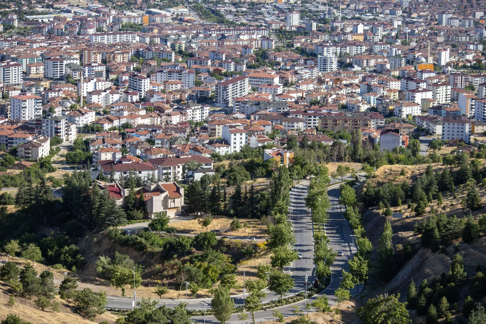 Şehir haritası tutan gezgin