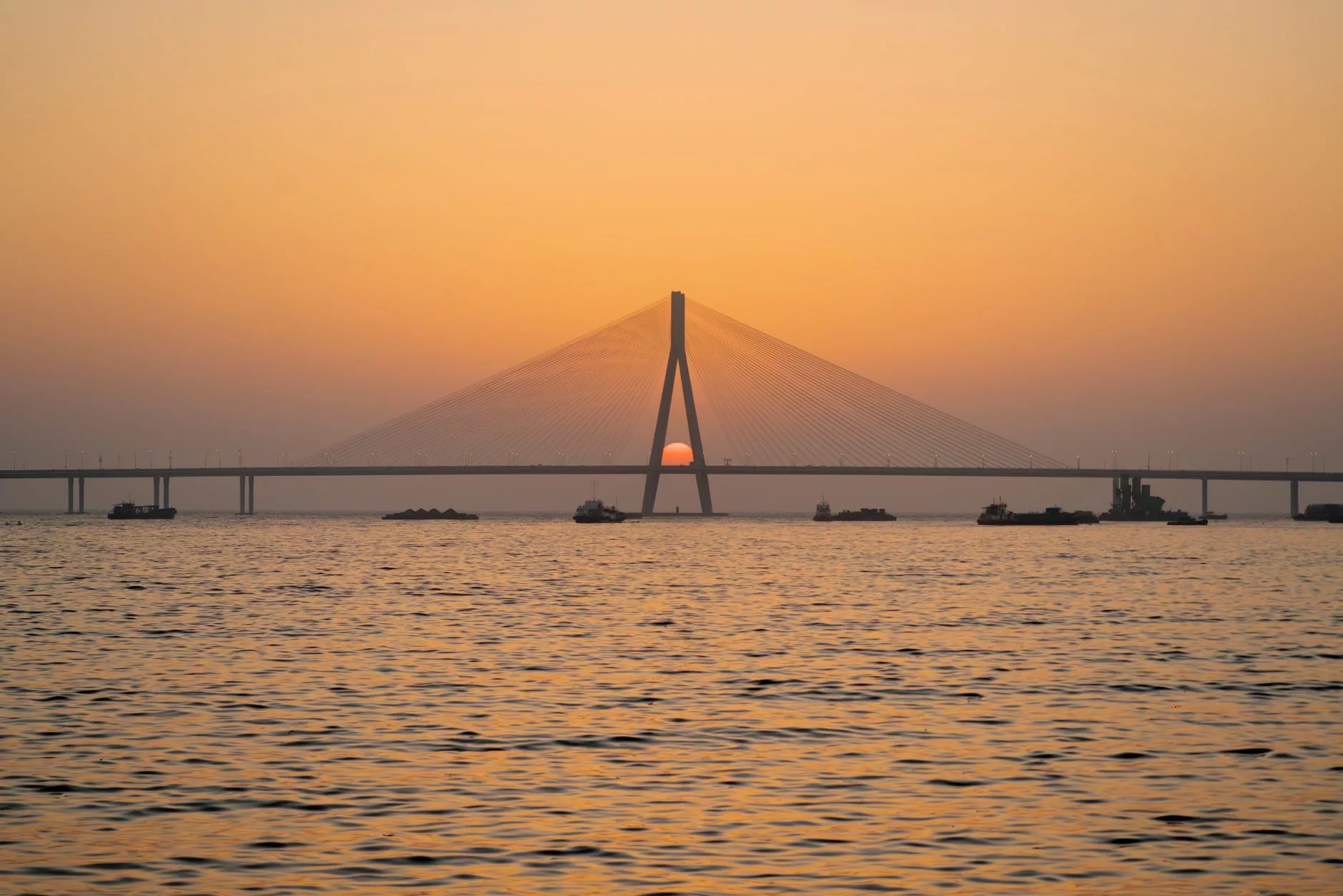Mumbai Bandra-Worli Sea Link köprüsü