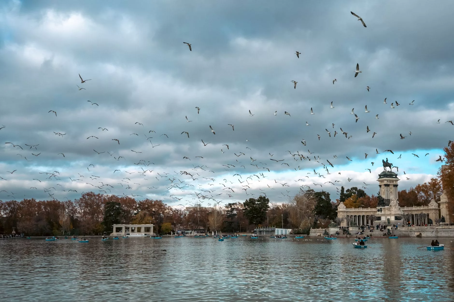 Madrid Retiro Parkı göletinde gezinen kayıklar