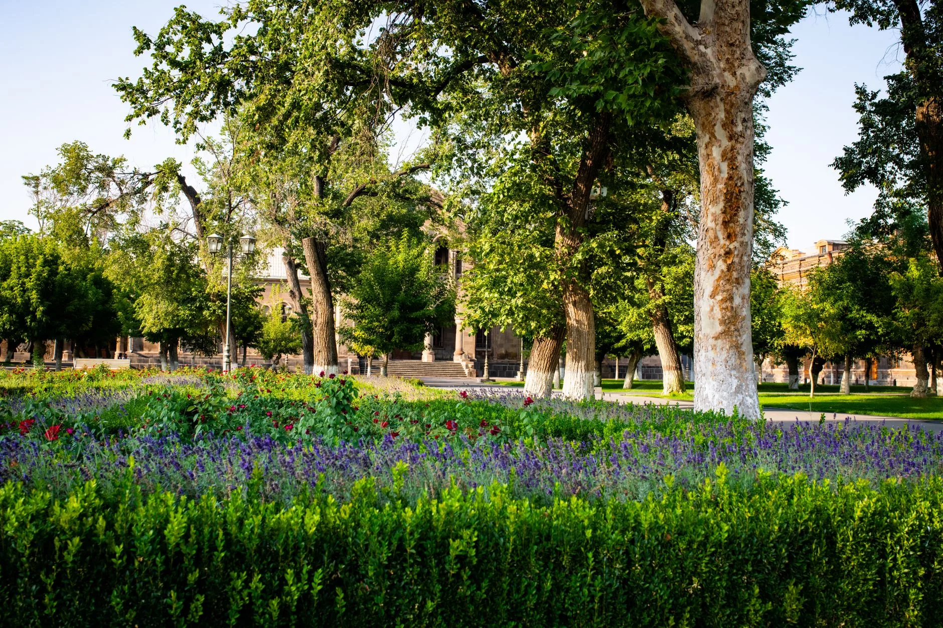 Erivan + Poplavok Parkı