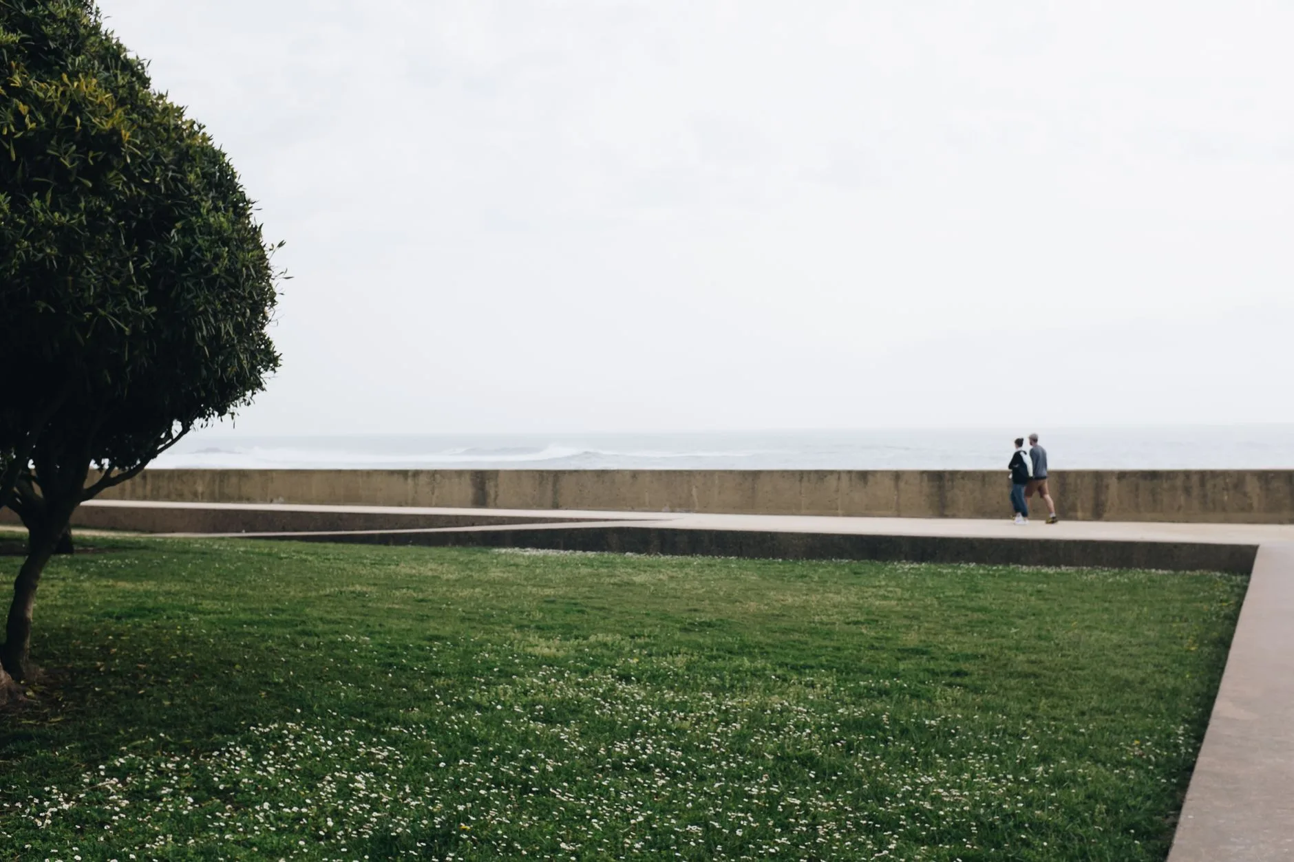 Porto Serralves Müzesi Bahçeleri