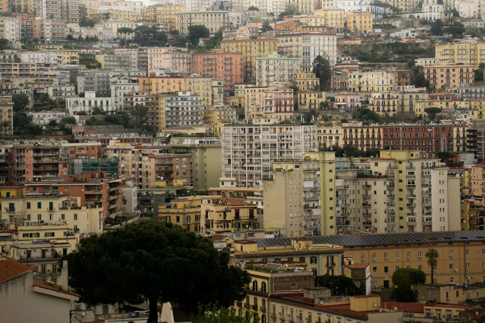 Napoli Pio Monte della Misericordia