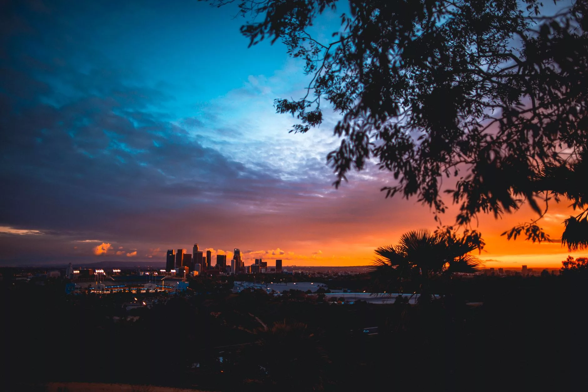 Los Angeles Elysian Park