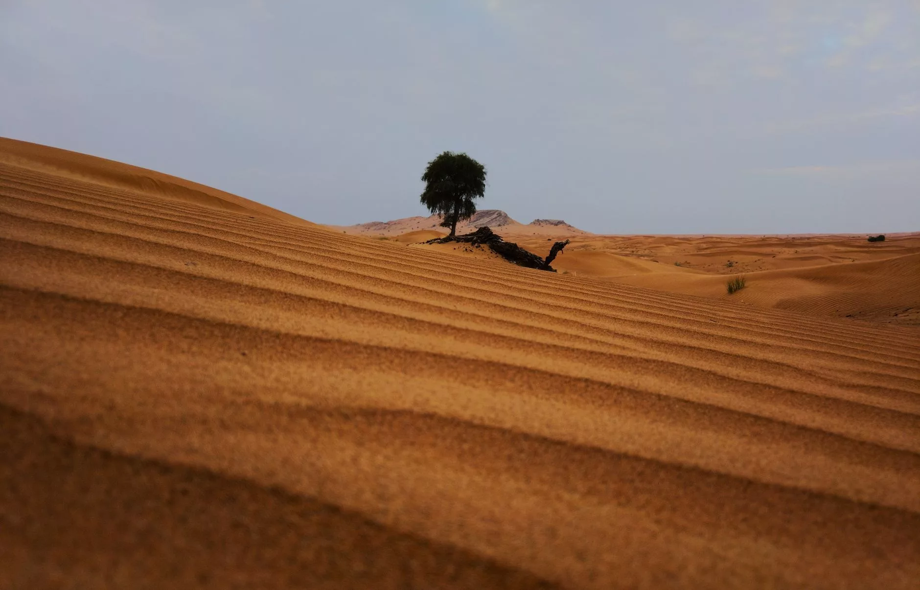 Dubai Lahbab Desert
