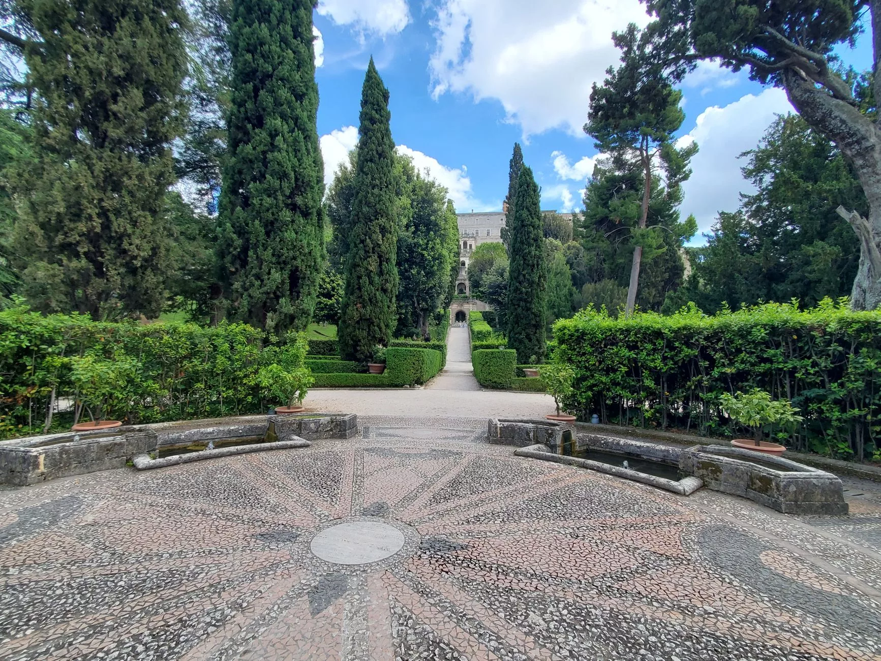 Roma Orto Botanico bitki örtüsü