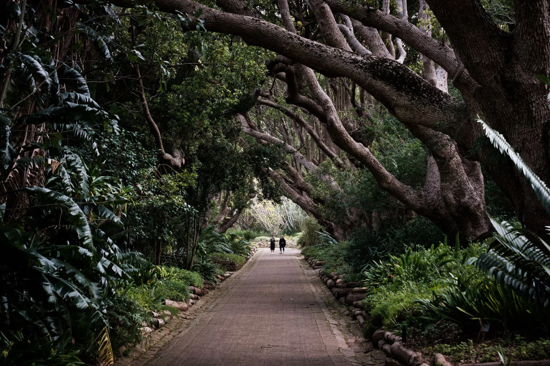 Kapstadt Company's Garden