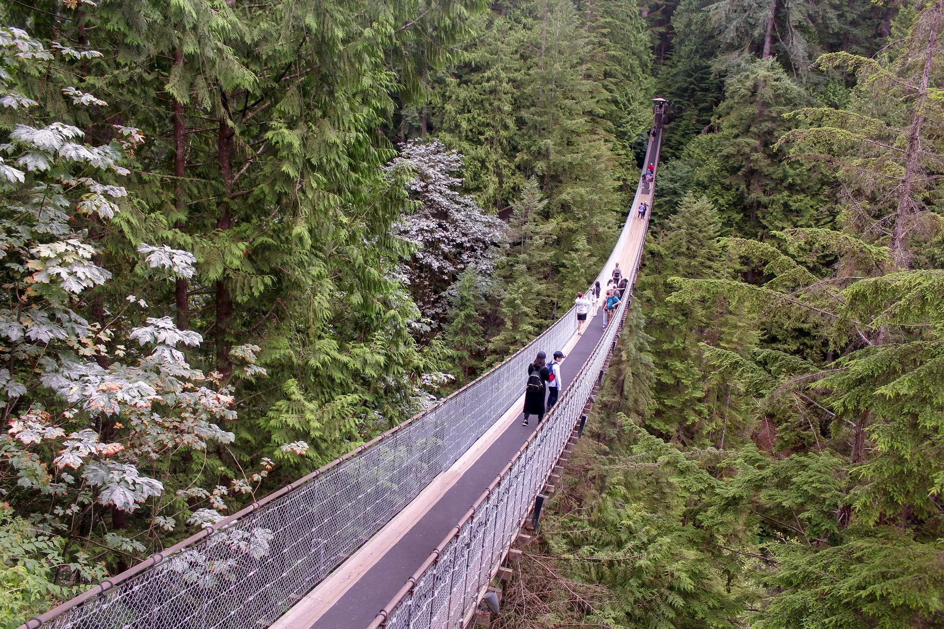 Capilano Suspension Bridge asma köprü geçişi