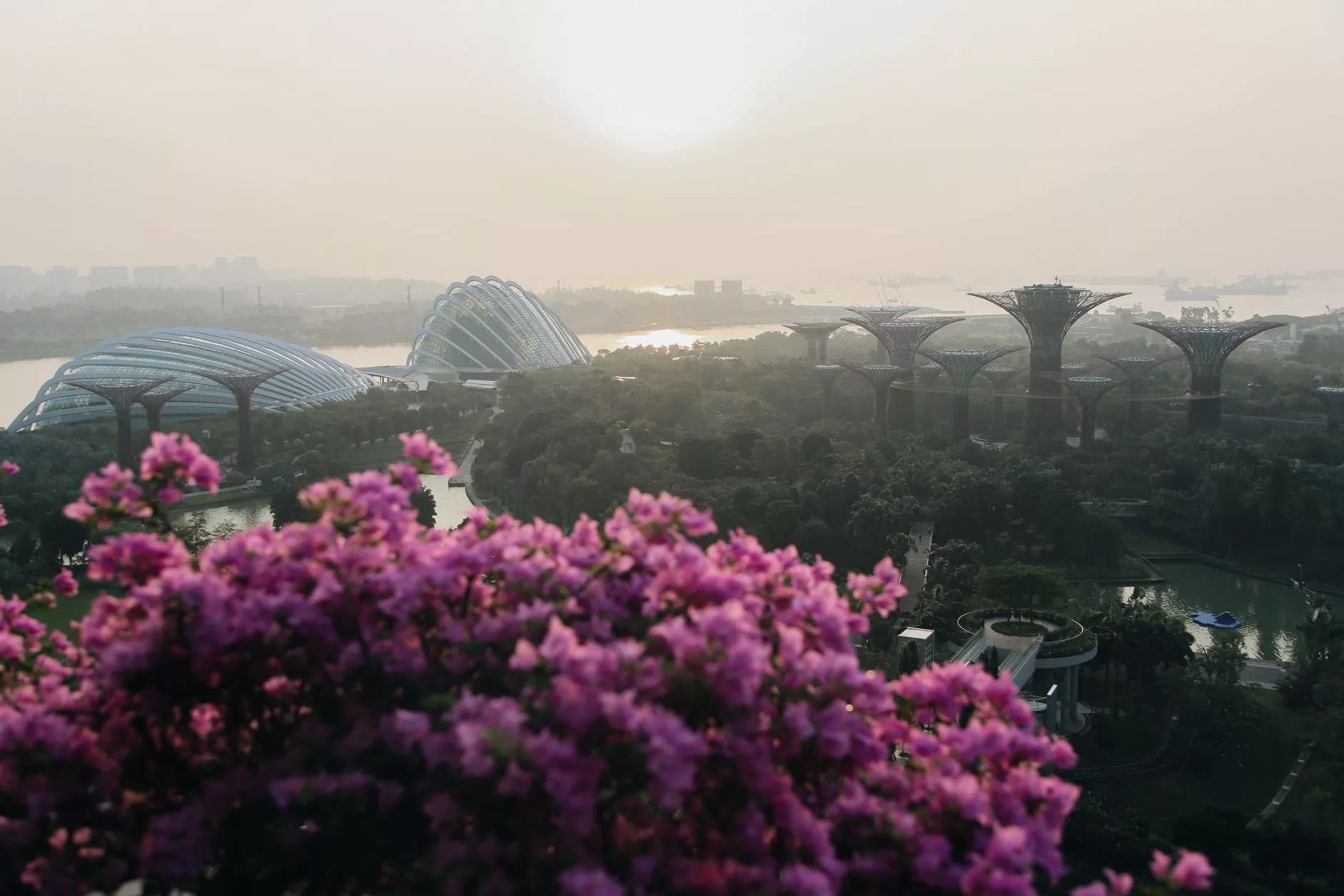 Singapur Flower Dome