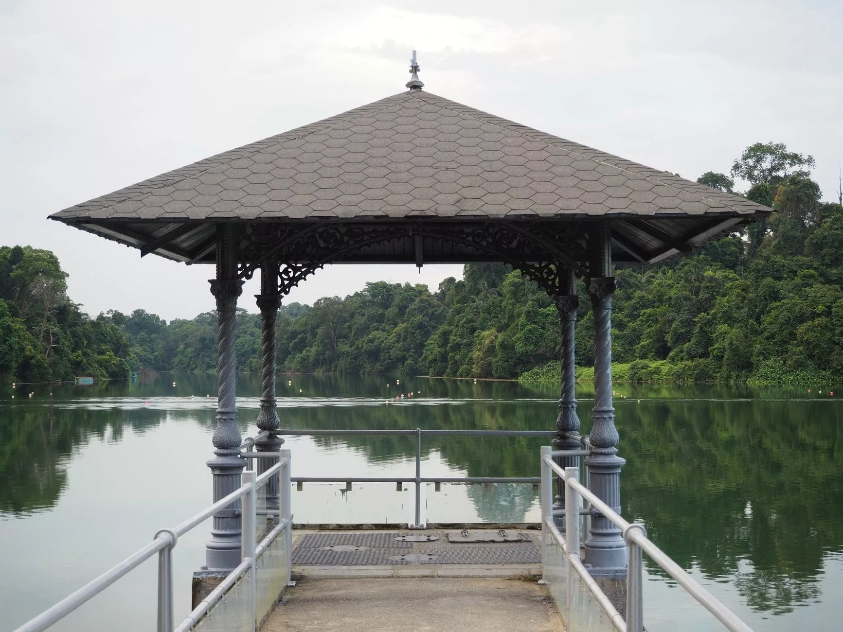 Singapur MacRitchie Reservoir Park