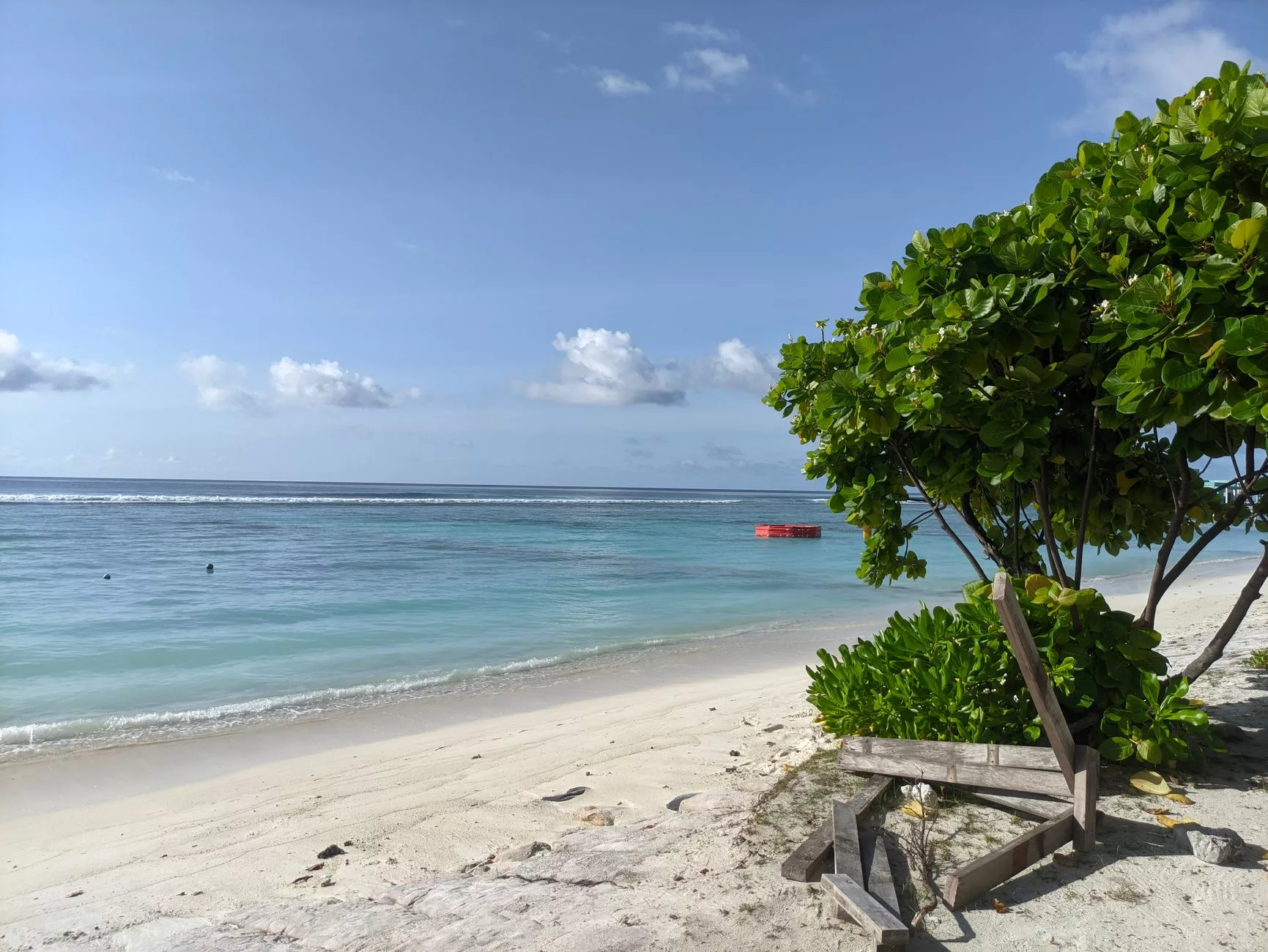 Maldivler Rasfannu Sahil
