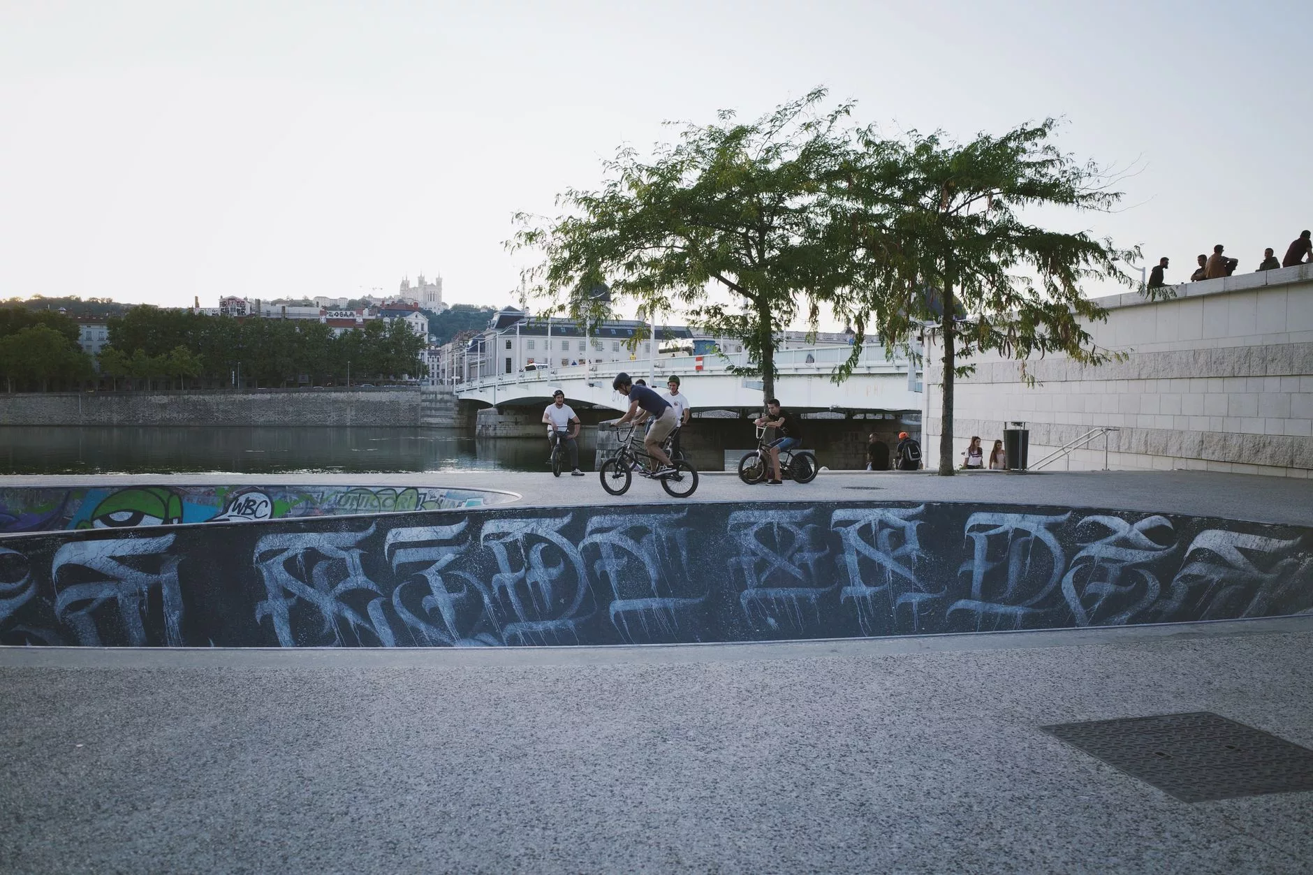Lyon Mur des Canuts