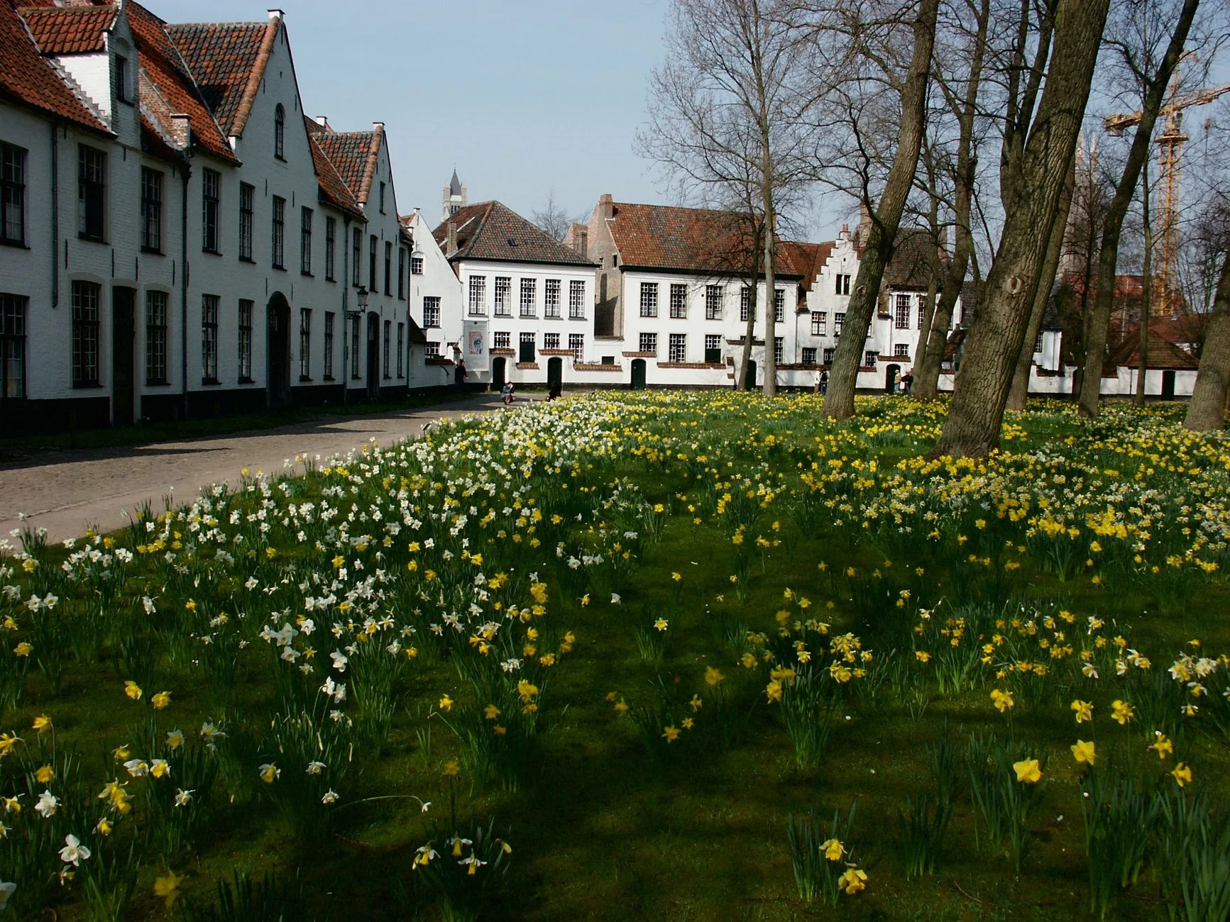 Brugge Begijnhof yanındaki kanal ve yeşil alan