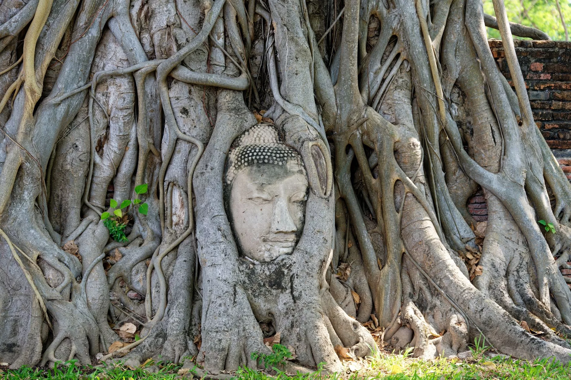 Wat Mahathat