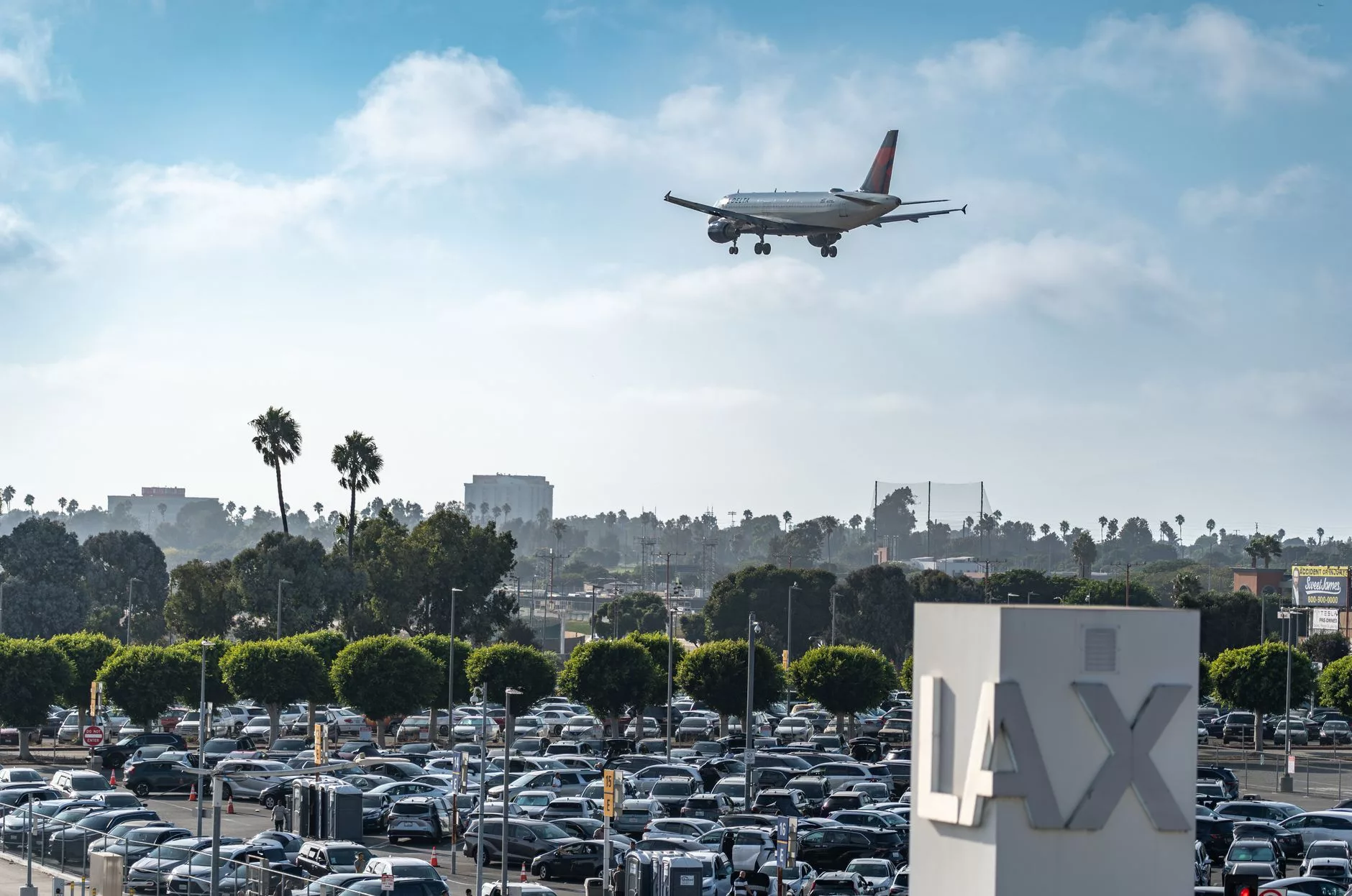 Los Angeles LAX Havalimanı terminal girişi ve palmiye ağaçları