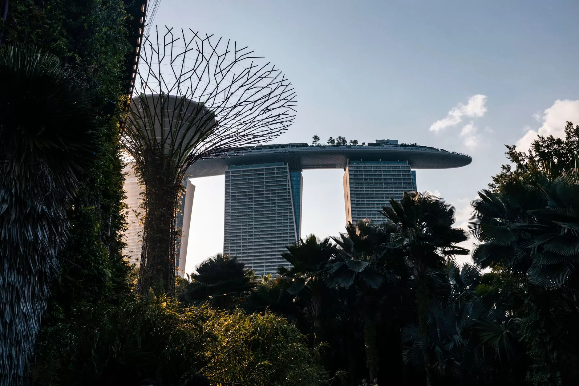 Singapur + Marina Bay Sands ve Supertree Grove