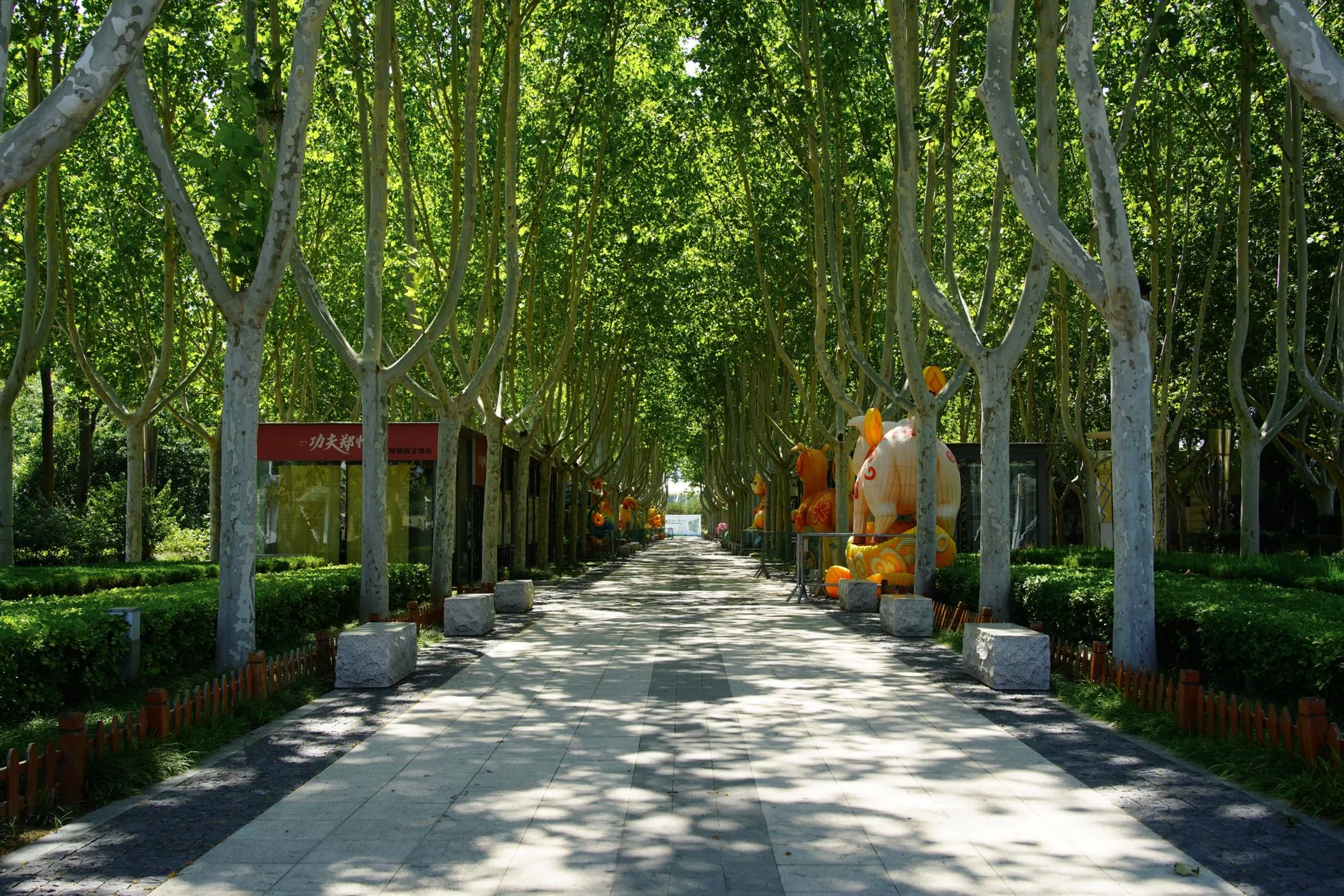 Pekin Dünya Parkı