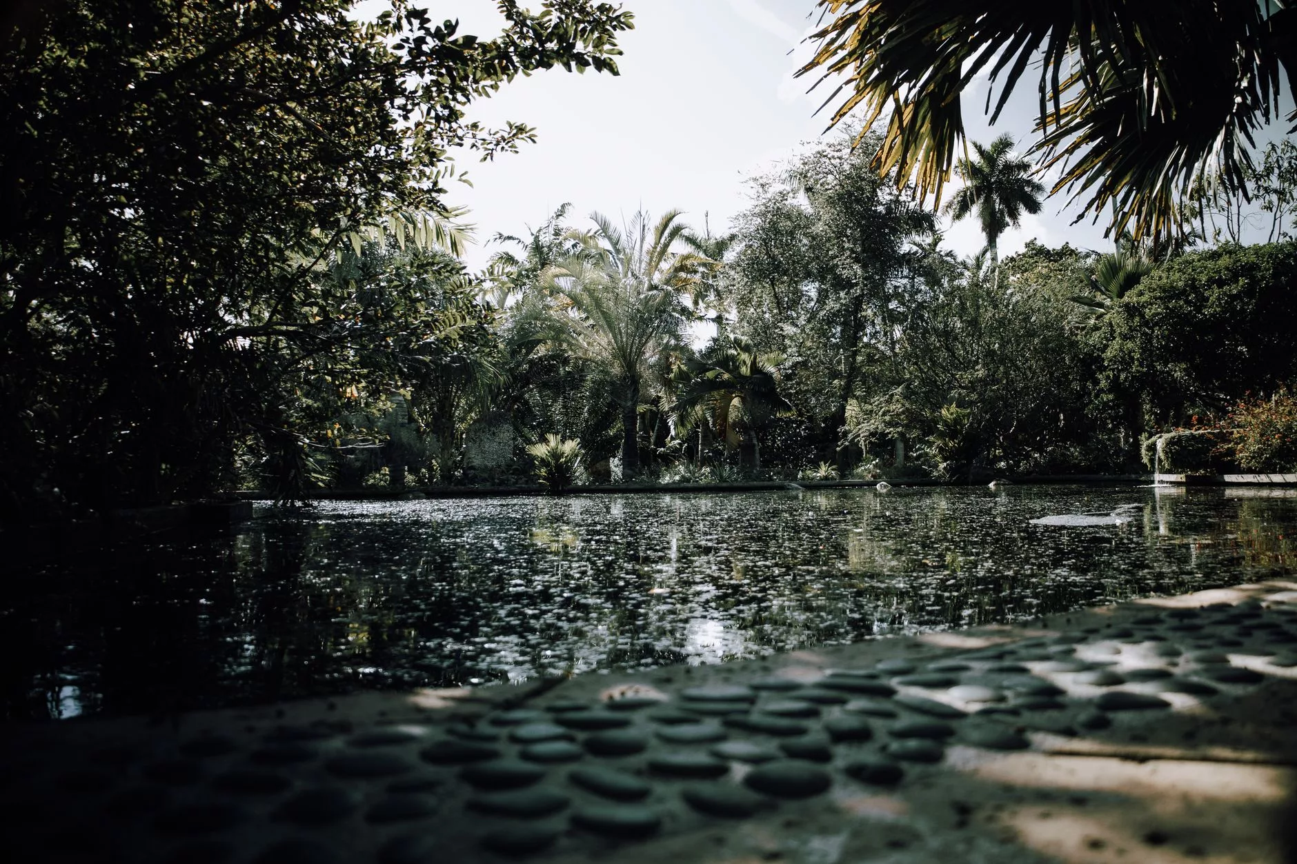 Miami Fairchild Tropical Botanic Garden