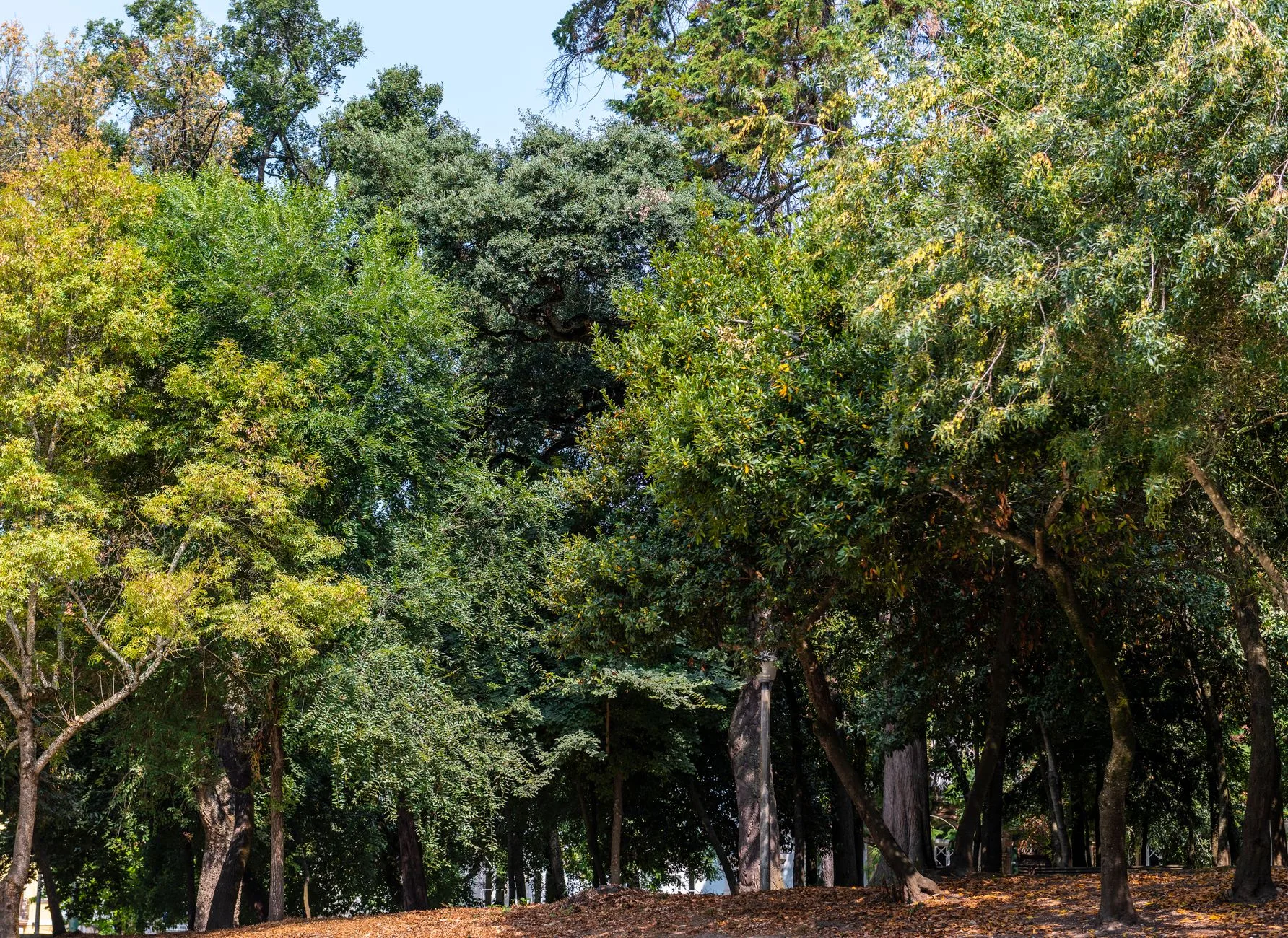 Lizbon Parque Florestal de Monsanto