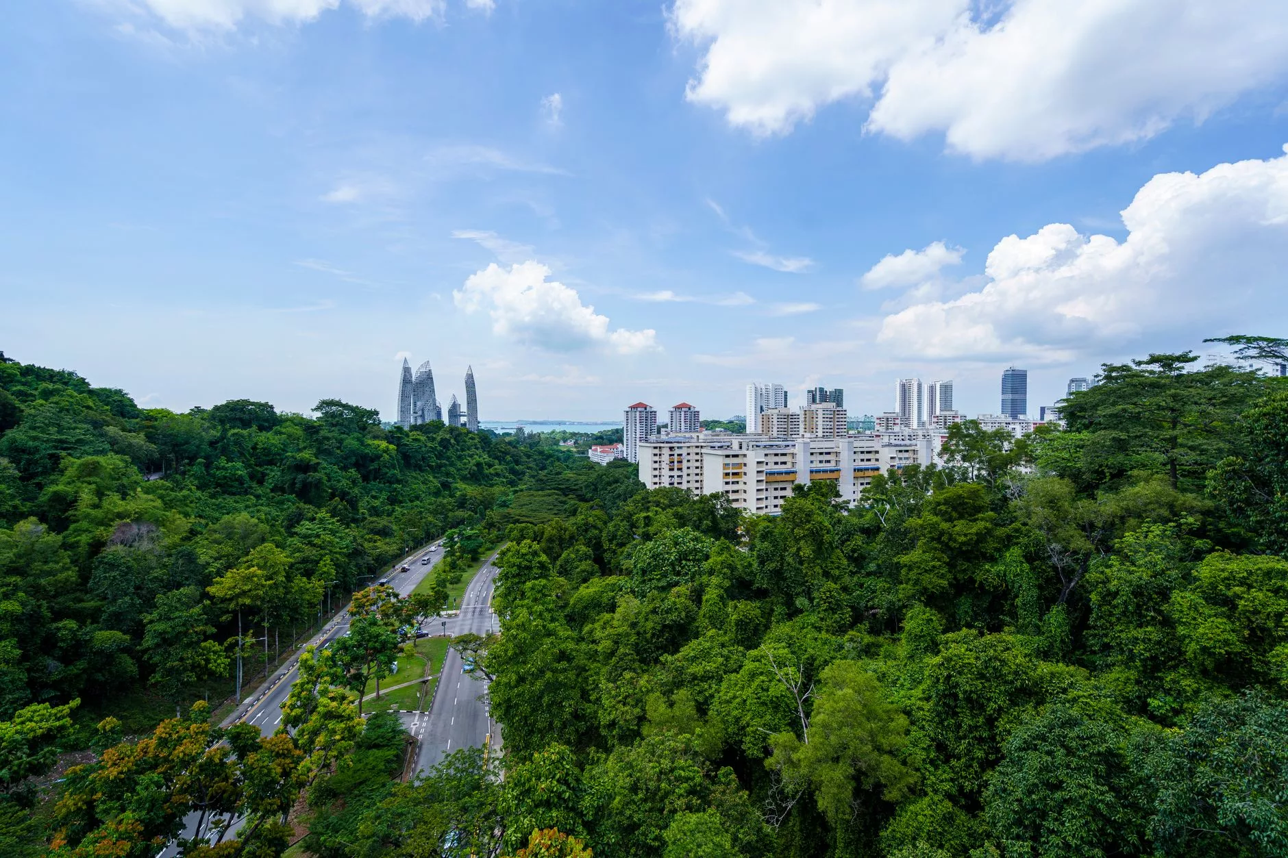Singapur Henderson Waves Köprüsü