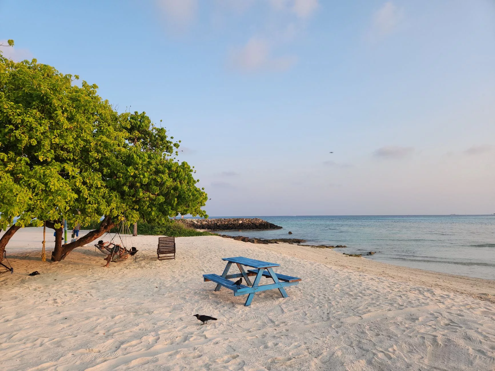 Maafushi Adası yerel plaj manzarası