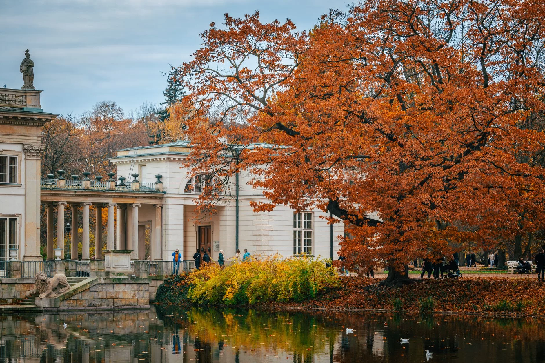 Varşova Łazienki Królewskie Parkı