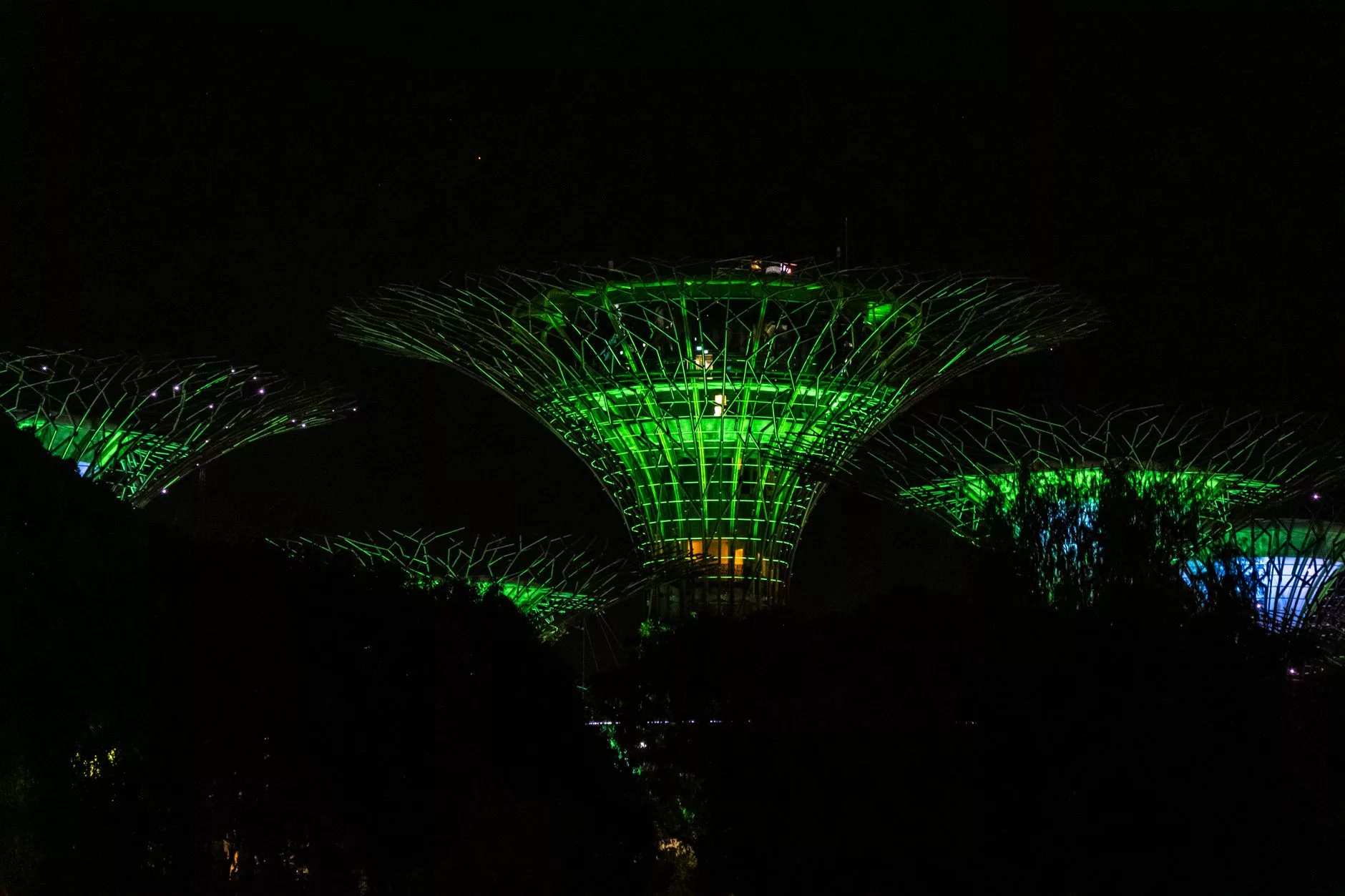 Singapur Supertree Grove