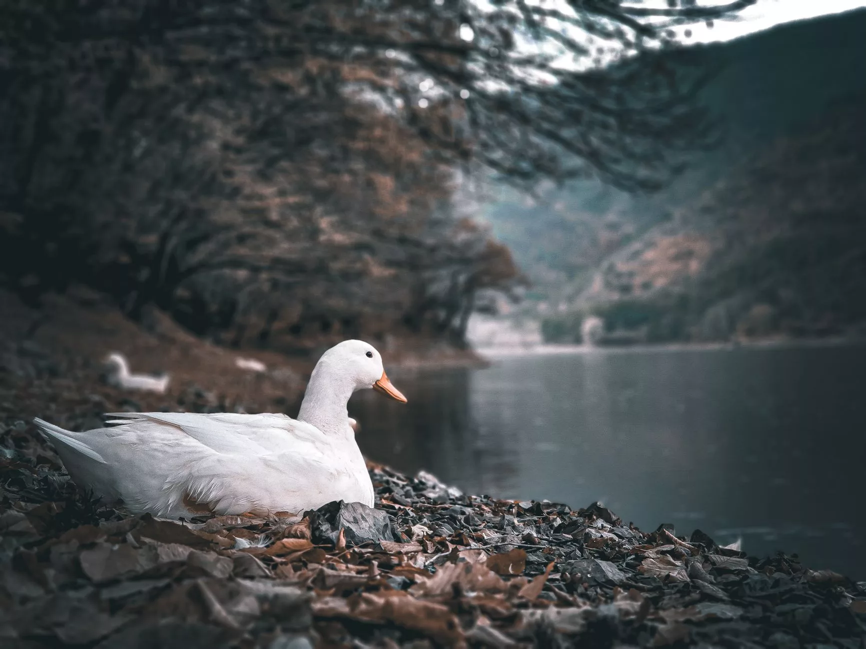 Pekin Cennet Tapinagi