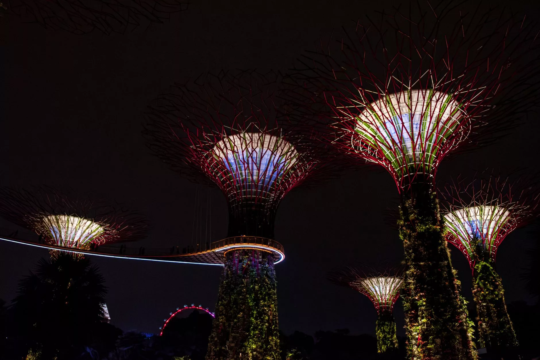 Gardens by the Bay Supertree Grove gece ışıklandırması