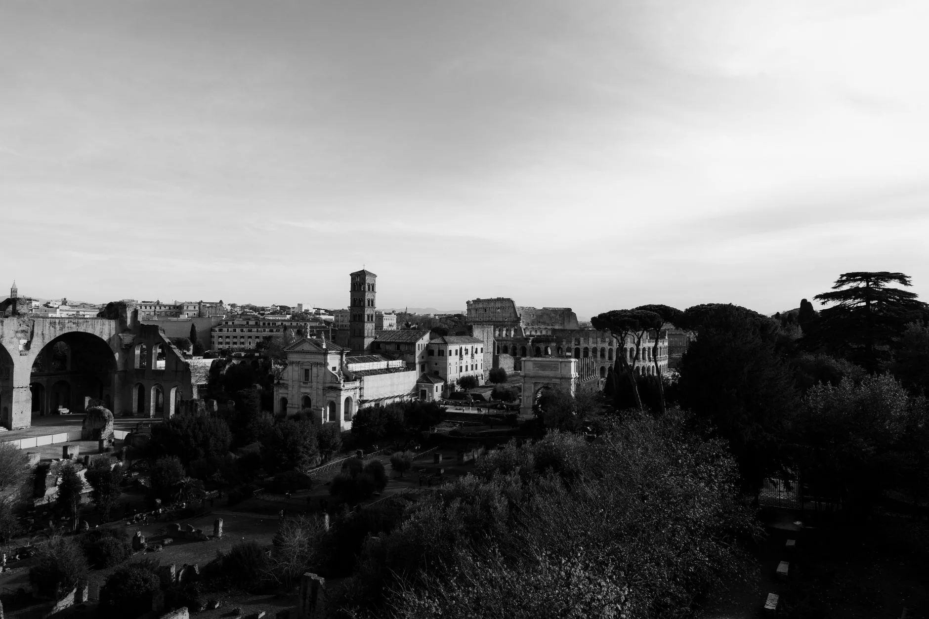Roma + Colosseum and Roman Forum