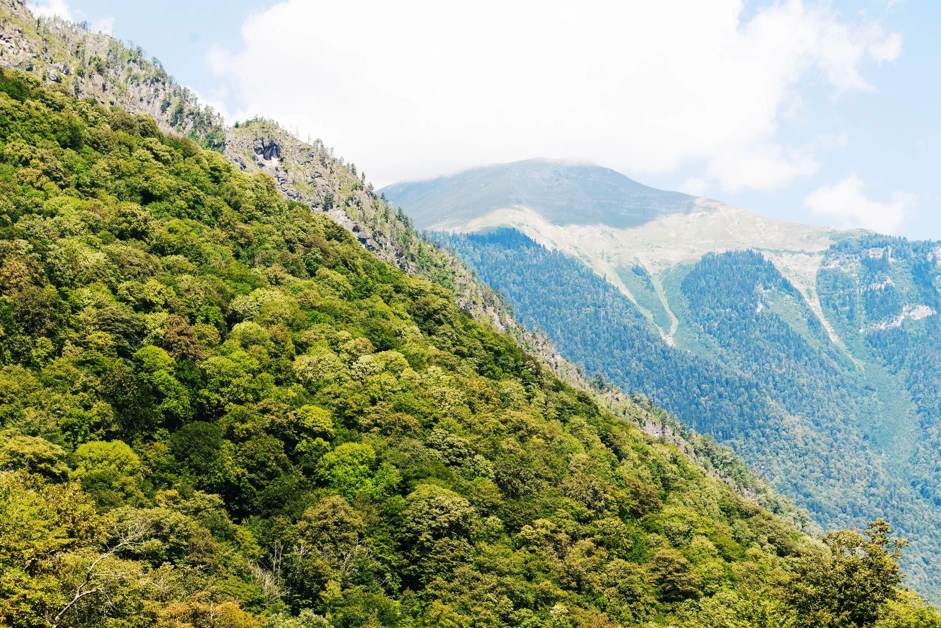 Batum Dağı