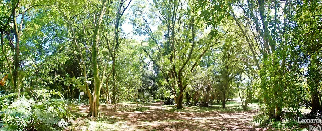 Porto Jardim Botânico do Porto