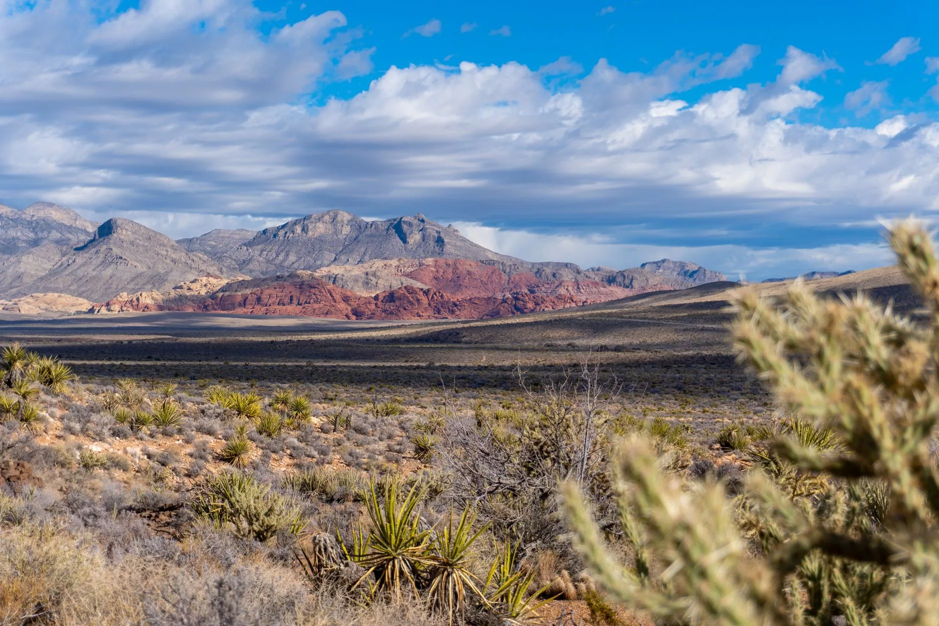 Las Vegas Red Rock Canyon National Conservation Area