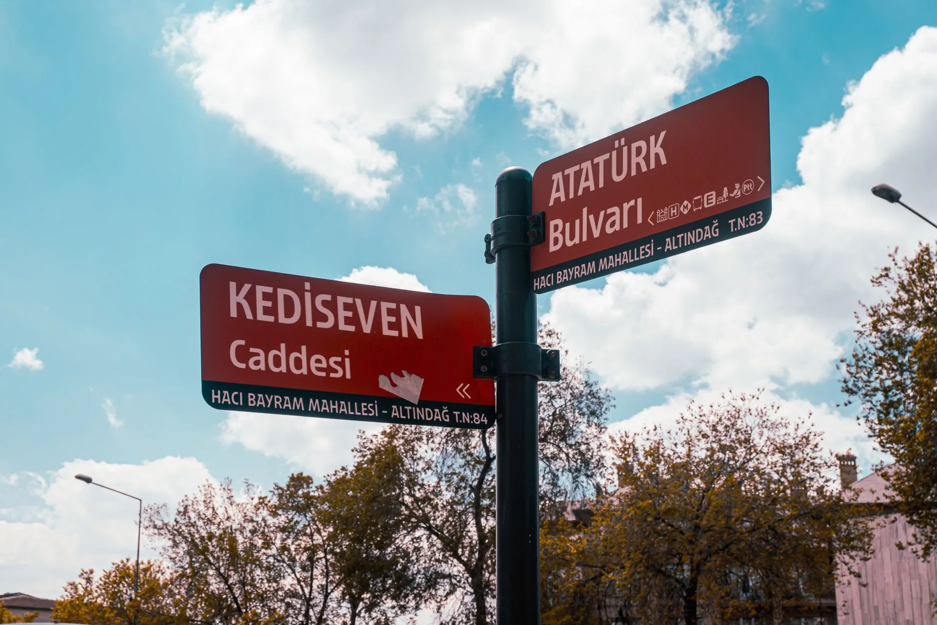 Milenyum Hacı