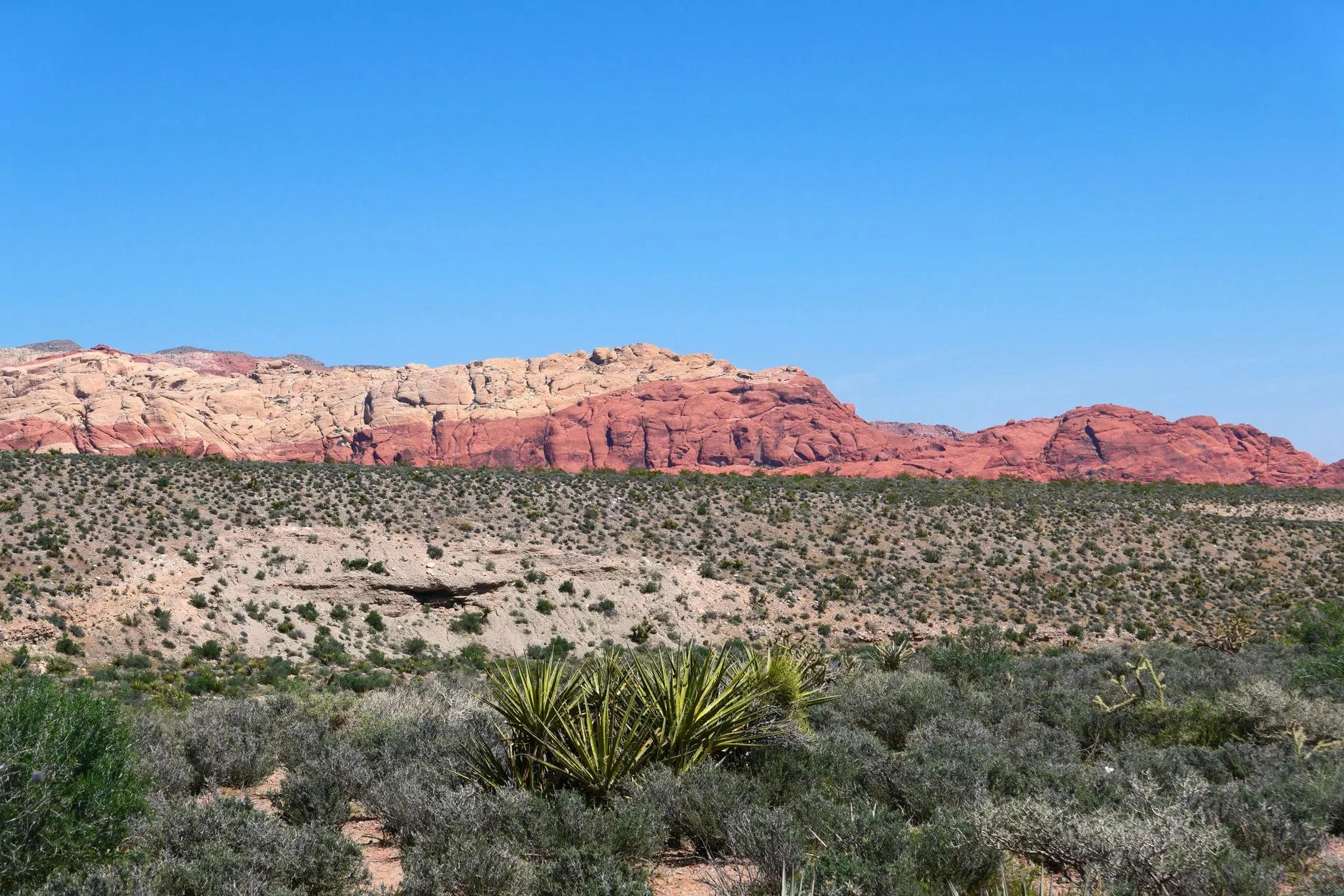 Las Vegas Red Rock Canyon kumtaşı formasyonları