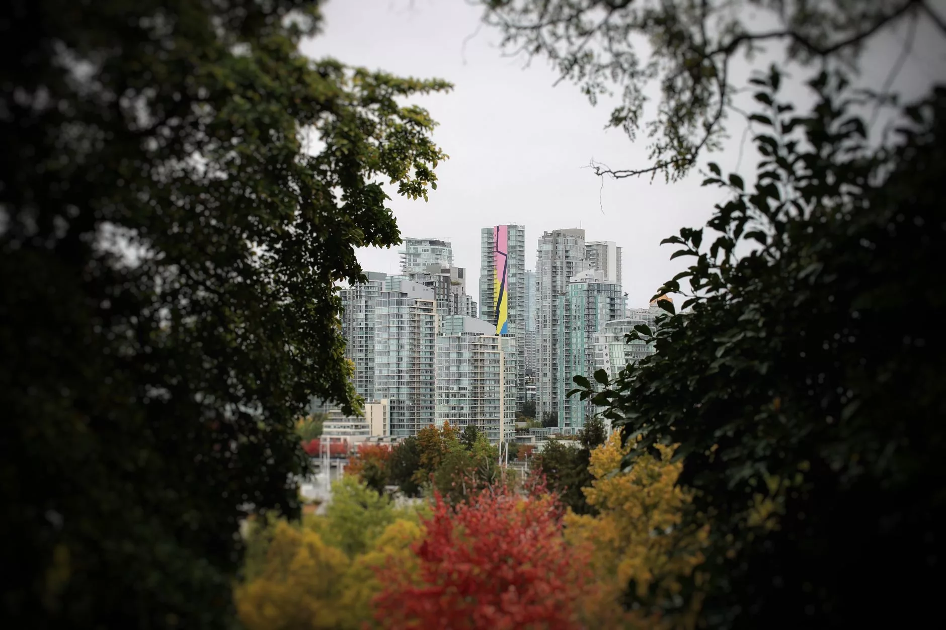 Vancouver Queen Elizabeth Park