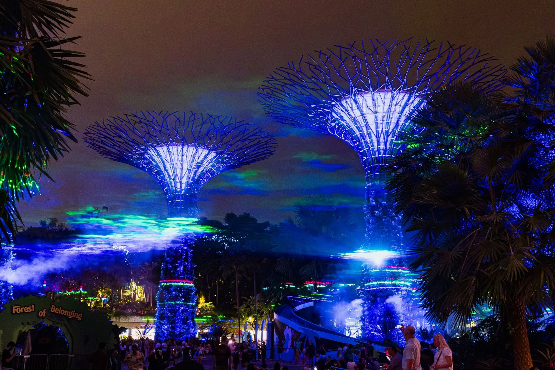 Gardens by the Bay Supertree Grove ışıklandırılmış hali