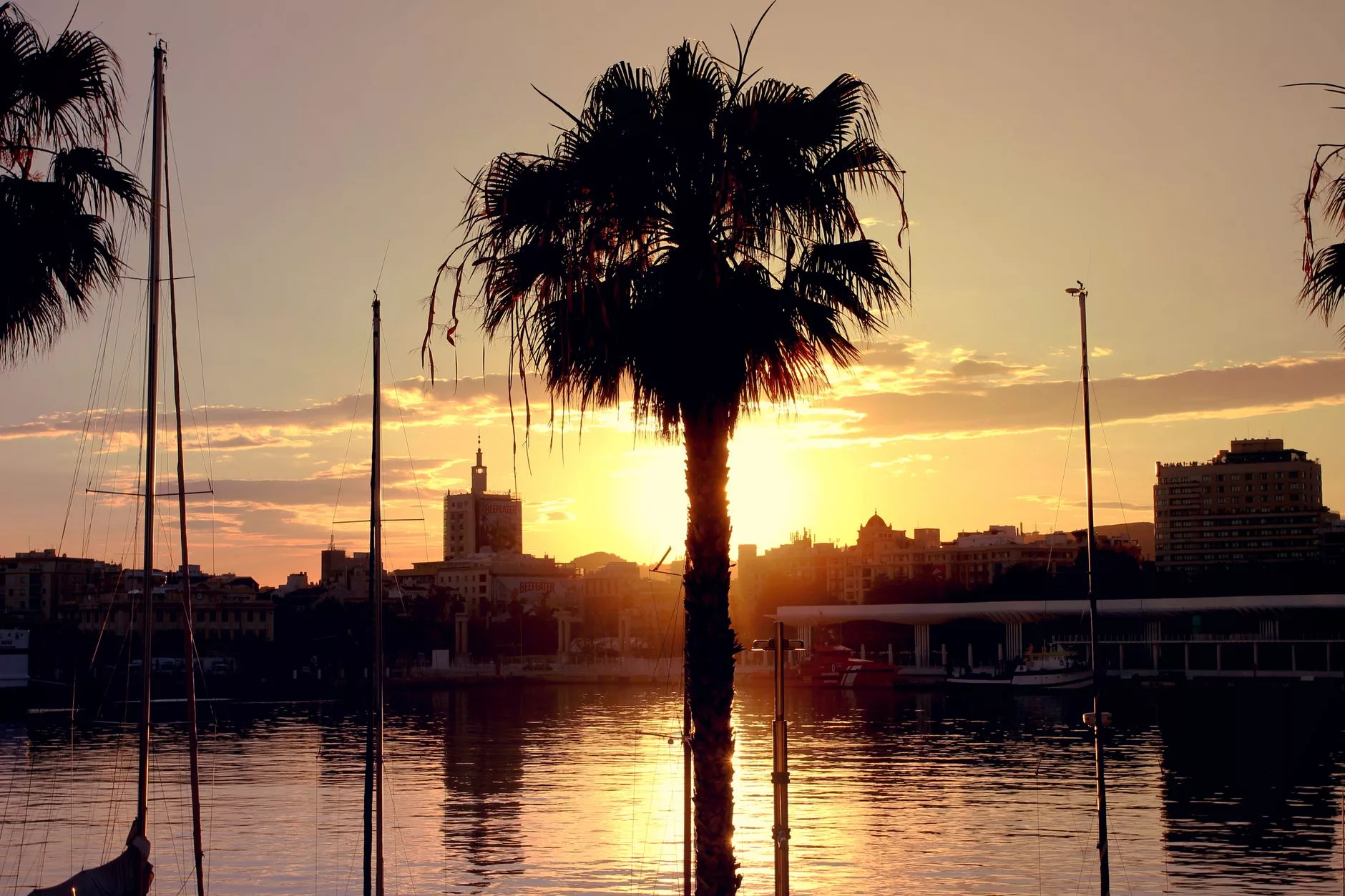 Malaga + gün batımında palmiyeler ve marina limanı