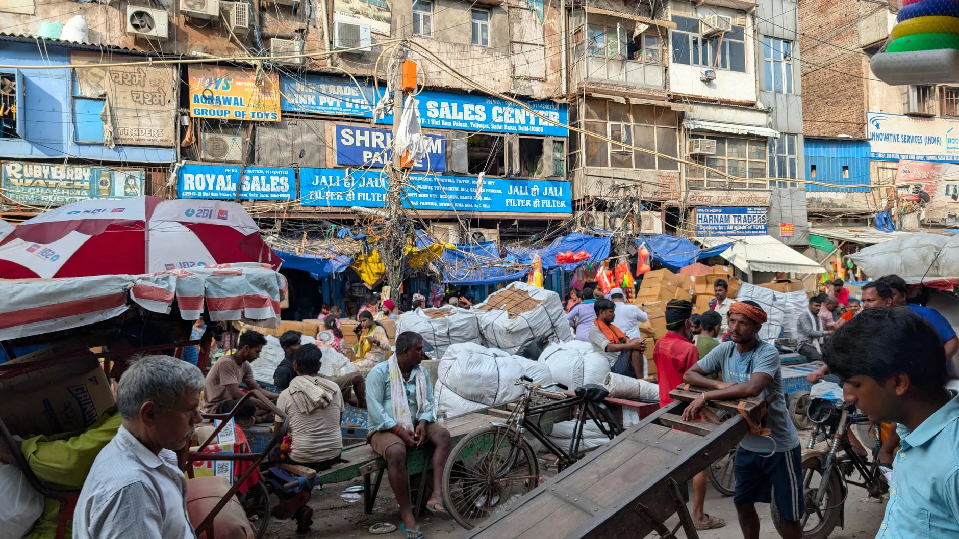 Delhi Paharganj sokak inekleri ve köpekler