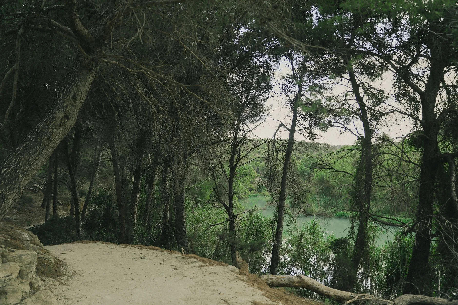 Malaga Parque del Oeste