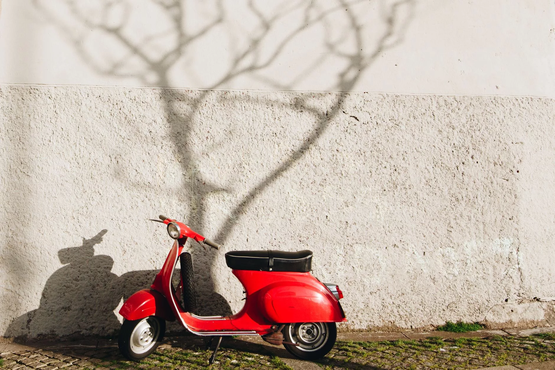 Porto + scooter paylaşımı