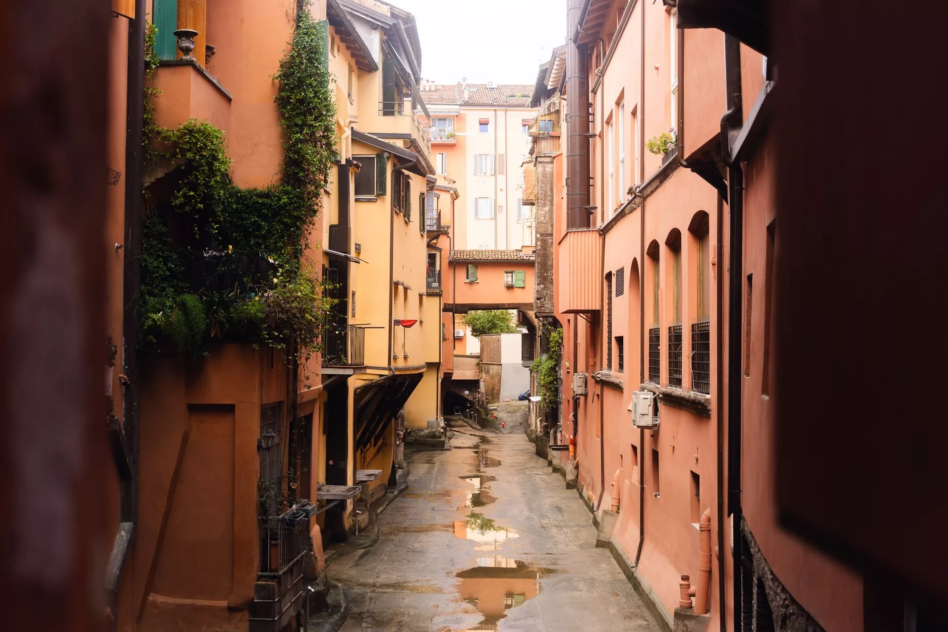 Bologna sokaklarında yerel bir makarna dükkanı ve taze makarnalar